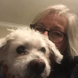 Meet your Posher, Royce